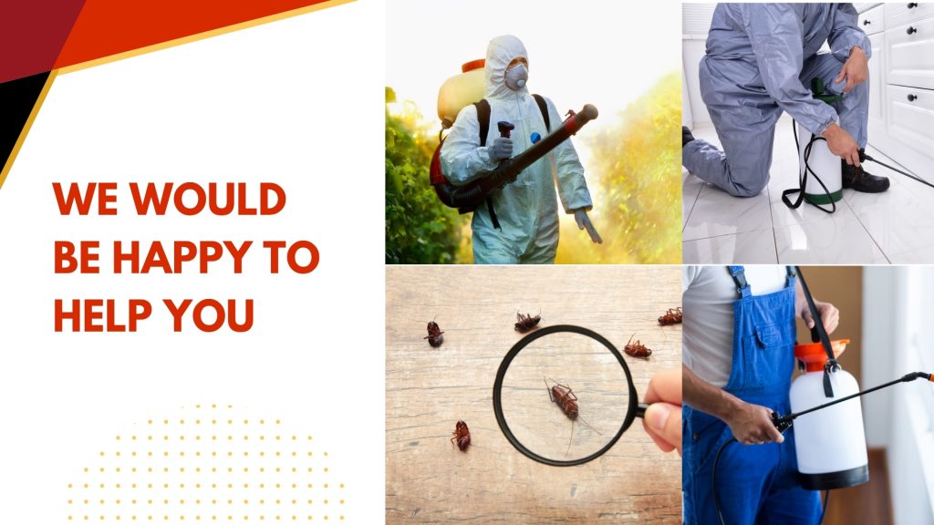 Our Pest Control Services