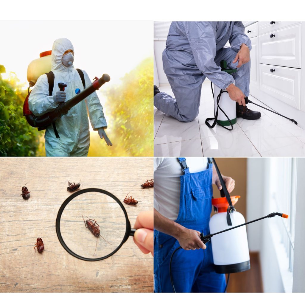 pest control